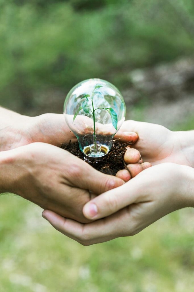 Environmental Conservation